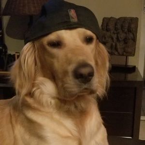 Meet your Posher, Cary